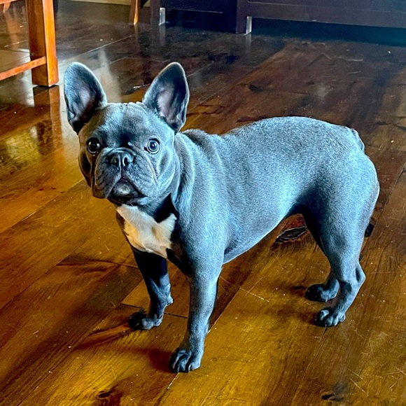 Meet your Posher, Kim - Picture 1 of 1